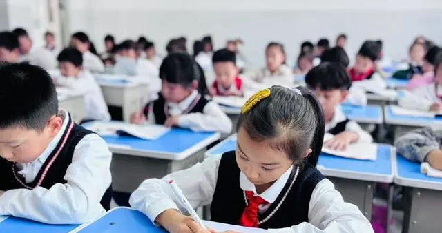 GMT、tigerfamily谁更好背？找对搭档学习之路更顺畅！