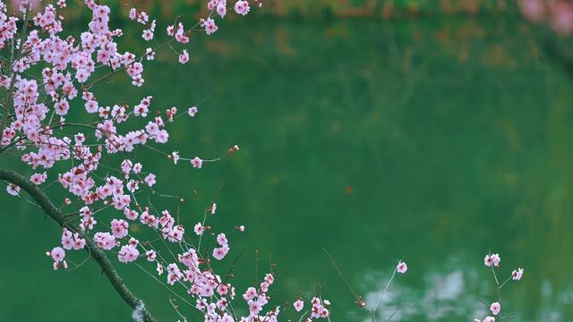 家有考生001：休战两个礼拜，你觉得就能