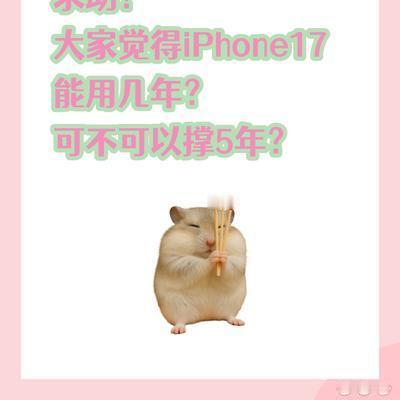 科数朵颐：iPhone17正常使用，能用
