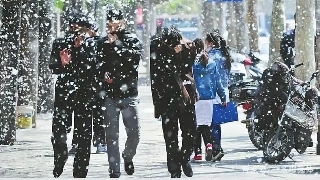 蒲根蒲草：窗外阳光明媚，却又是满天飞雪。