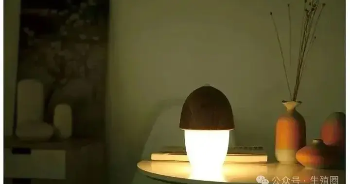 从三次反复流产到接连抱娃，万万想不到这个大家忽略的检查成关键