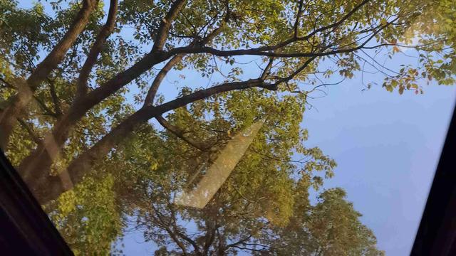 努力生活的河南姑娘