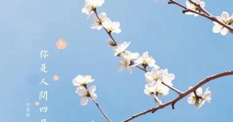 人间最美四月天，你在，便是花开满径