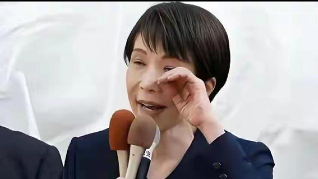 四季更迭醉少年