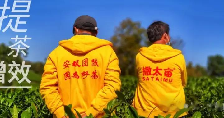 又说茶企破局之路
