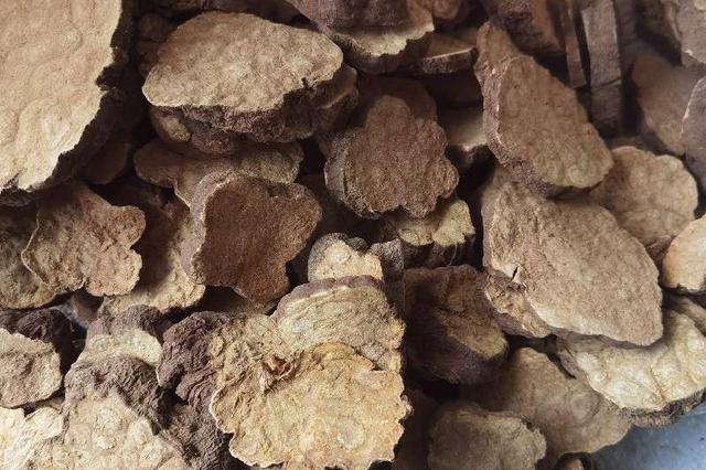 药市持续疲软，商家多观望，多个药材低迷行情依然未见好转！