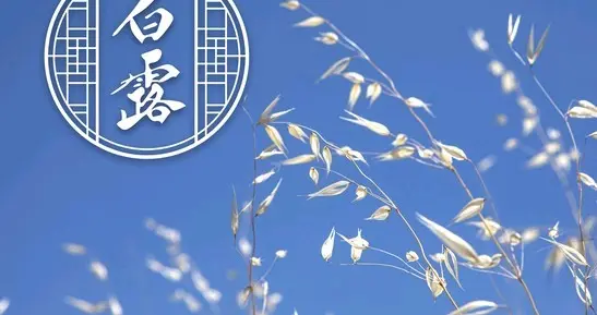 22点41分白露，老话“旱不旱，就看白露”，今秋有大旱吗？早了解