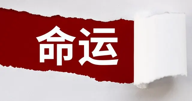 三分天注定，七分靠打拼？我劝你信命