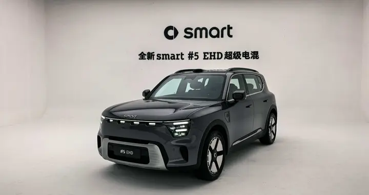smart？限时16.99万起，  质感直接拉满！