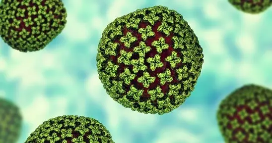 全球独生子！国产新药世界首创，首个抗体药物，治疗丁肝新药上市