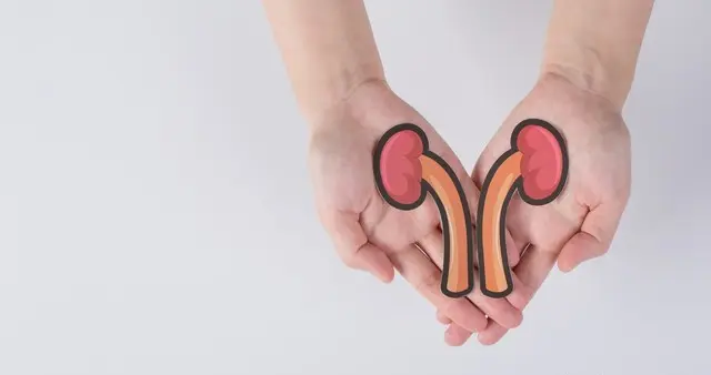 肾不好、肾衰竭？3种中成药辨证调理，中医详解适用场景与用法