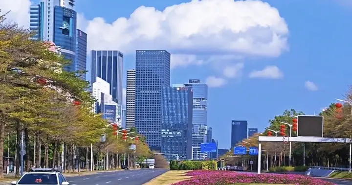 春节期间深圳真的是一座空城吗？记录空城深圳的真实景观