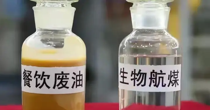 大量出口，价格暴涨：人人喊打的地沟油，怎么成了液体黄金？