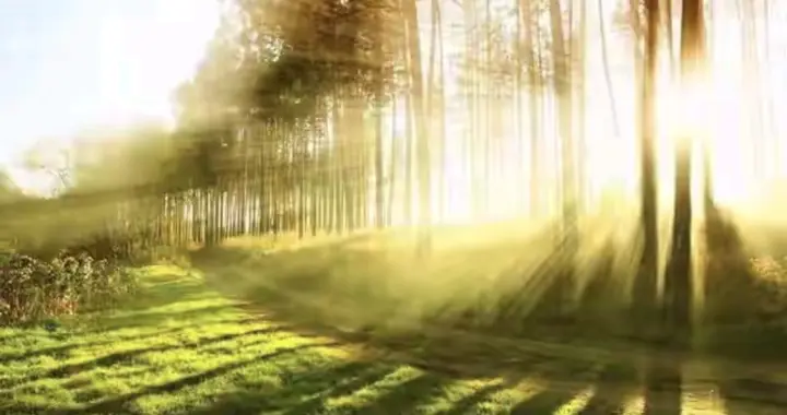 吊牌圈传来噩耗