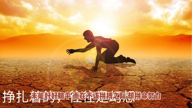 “人生如鸟，飞过花丛，留下最美的瞬间。”🌸🐦