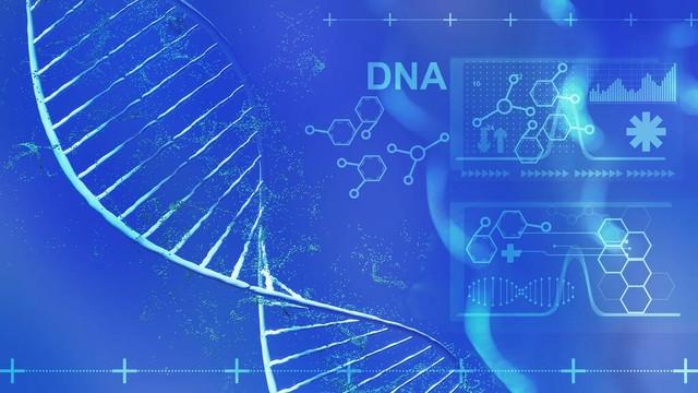 π介子和μ子是如何被发现的？第二代轻子是啥？