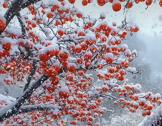 散文：温一壶诗意下酒，忆一场大雪的素白