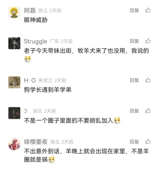 每日一笑：下次再也不敢穿这种衣服了！