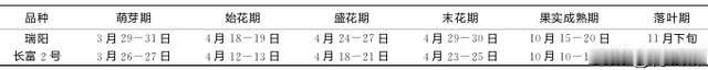 甘肃天水引种苹果新品种瑞阳：性状表现与优质丰产栽培要点