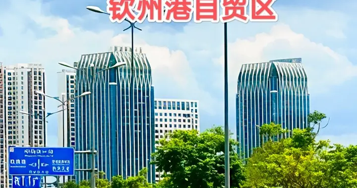 钦州市与钦州港自贸区收入与分成