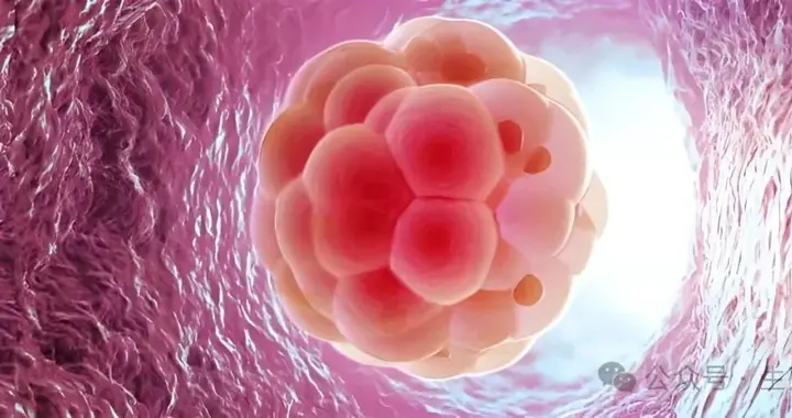 54.3%姐妹有卵子被白扔！黑科技硬核找回！高龄卵少或多出一个娃