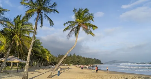 海南封关后第一批中产去抢金子了