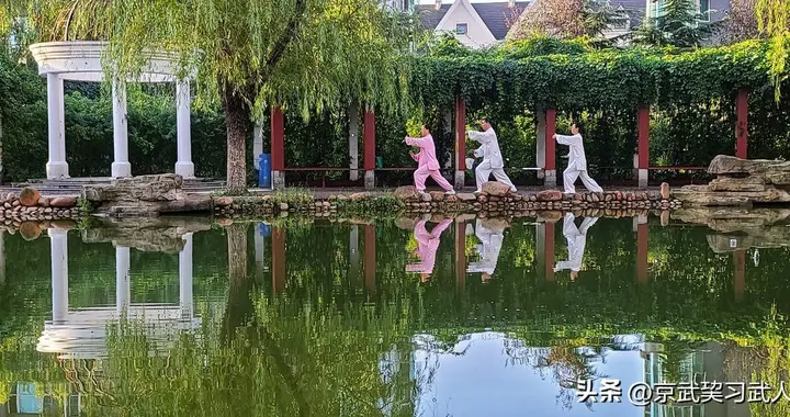 古武原传太极拳的 松，不是懈、不是软，是"似松非松" 的弹性膨胀力