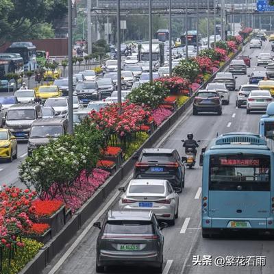 繁花看雨：重庆最近简直美爆了！从解放碑北