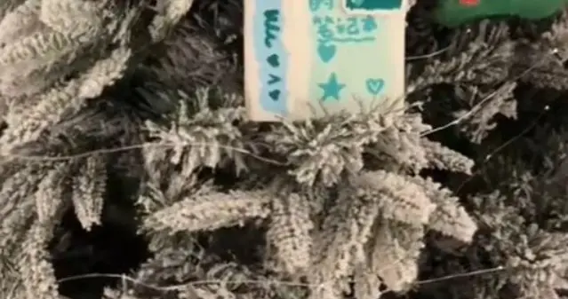 伊能静晒圣诞布置，秦昊回家陪家人过节，小米粒制作贺卡超有爱