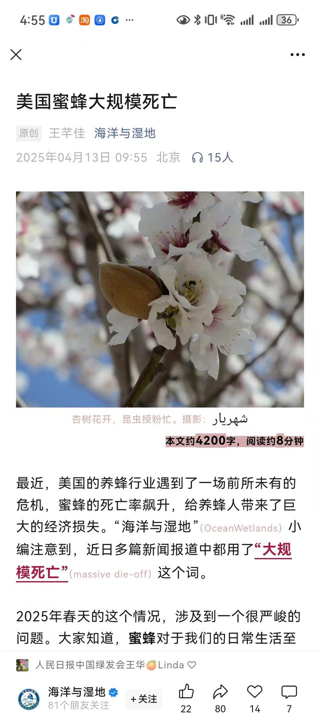 化学化农业是否已走到尽头：蜜蜂消失意味着什么？