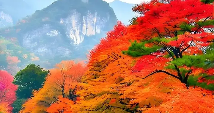 人过70岁才知道：夫妻相守至古稀，拥有这三样，往后岁岁皆无憾