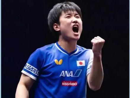 4比1！张本智和击败周启豪，国乒男单澳门赛全军覆没，静待王楚钦亚运救场