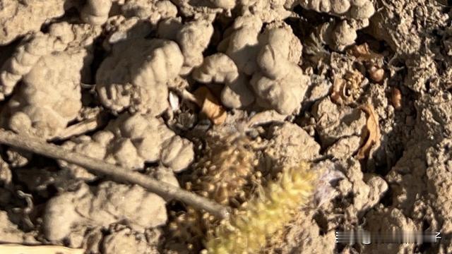 爱生活的饺子：今天在