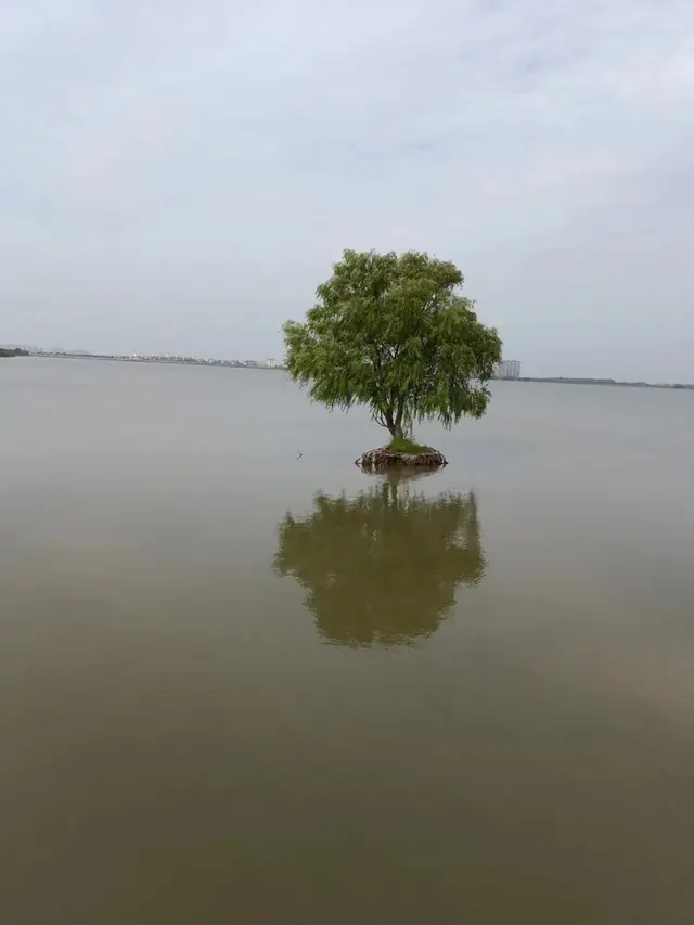 Wtd250(Ⅱ)我的退休生活第250天流水账