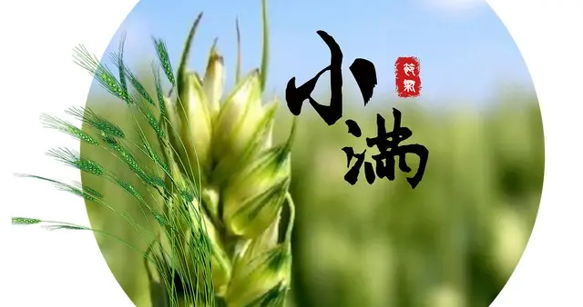 不是迷信！今日小满，牢记：1不坐、2不洗、3不露、4不熬