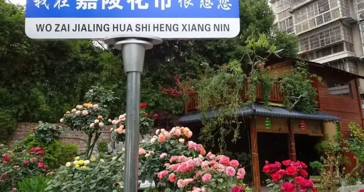 南充10岁娃喊话“嘉陵花市”：你把这句“土味情话”拼音写错了！