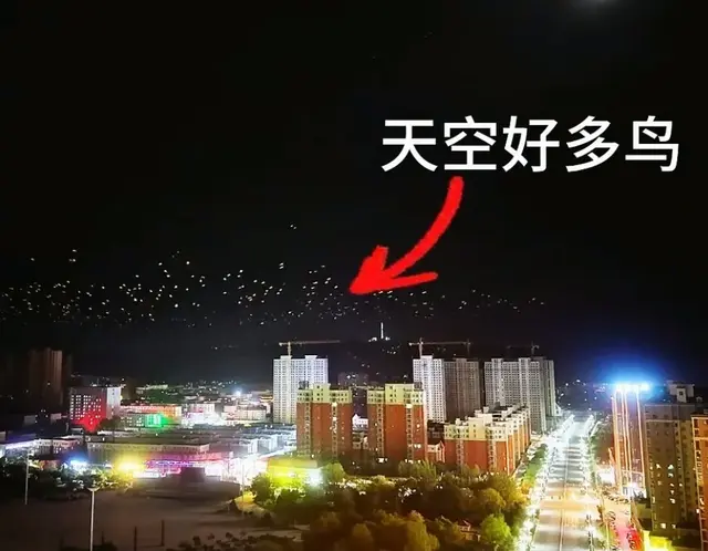 靖远夜空惊现'反光鸟群'盘旋不散，与“龙影频现”的异象解读