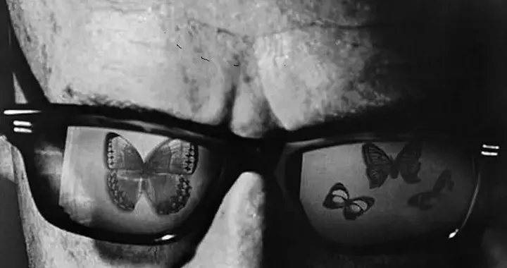 20世纪俄美文学巨匠，纳博科夫十句格言，兼具艺术美感与思想深度