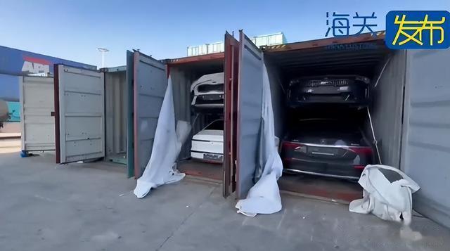虚假申报！多个集装箱被海关扣押！