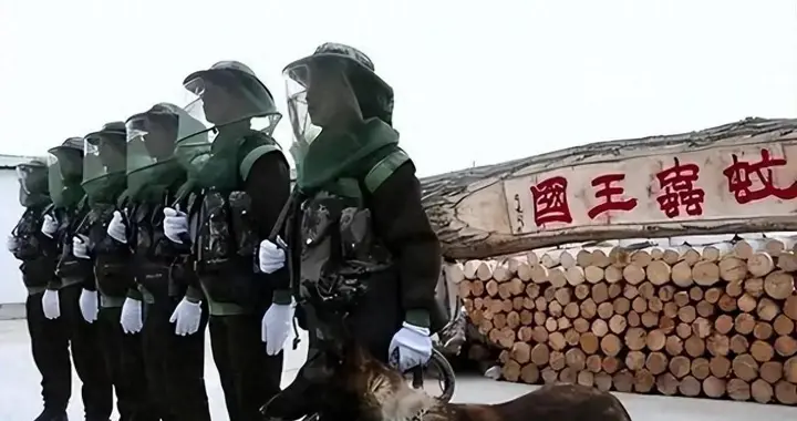 警犬和军犬有什么区别？待遇差一倍，危险差N级！