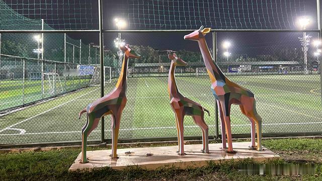 平地一声巨响：我一向都是鼓励年轻人（无论