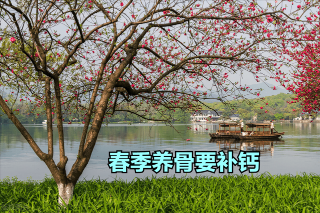 年龄大了要“养骨”，除了鸡蛋，要多吃这4样，腿脚有劲身体好