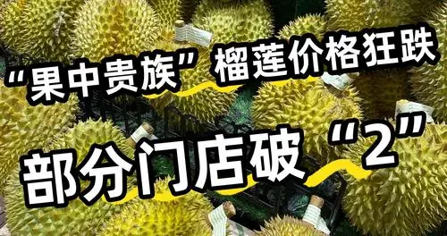 从70元跌到8.9元！杭州荔枝大换血：桂花香退场，妃子笑C位接棒