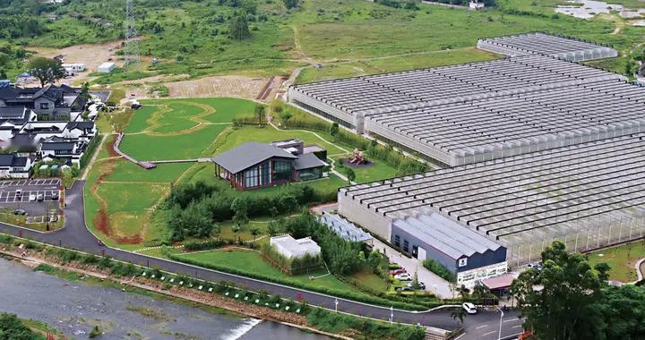 都知道建造温室大棚有补贴，怎么申请补贴额度是多少你知道吗？