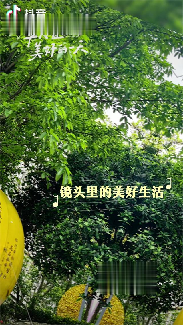 现代诗（原创）：《有关知己的梦》