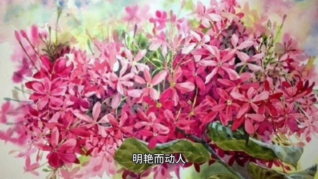 春日桃花溪畔，粉嫩绽放，美不胜收！