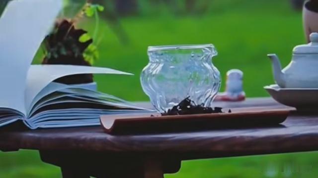 新夜话：记者新夜话丨但愿老年懂得：我们该