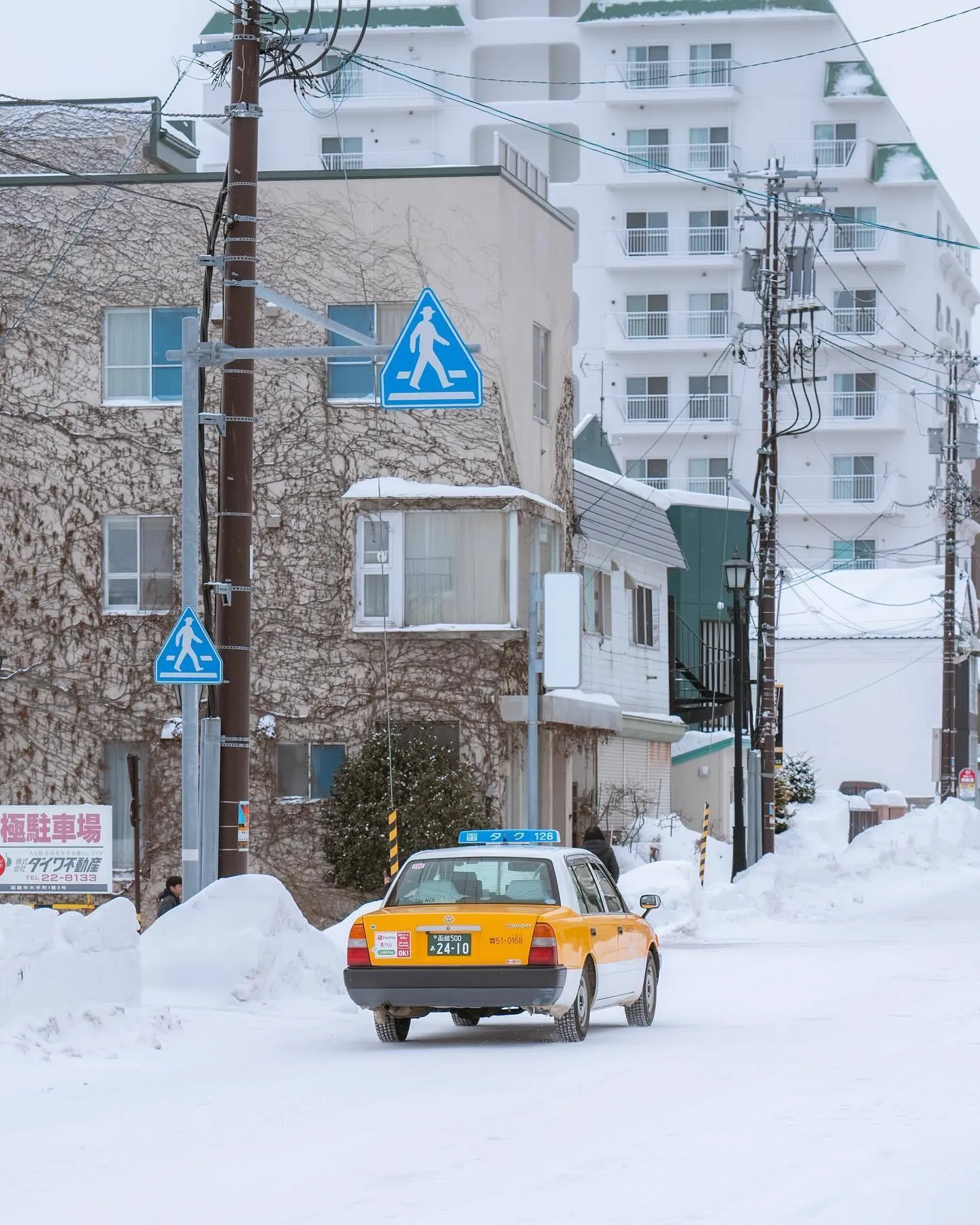 冬雪