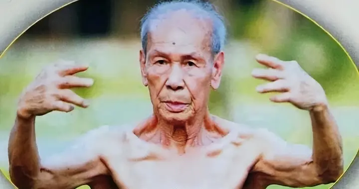 山主推荐：撑抱桩功分层训练