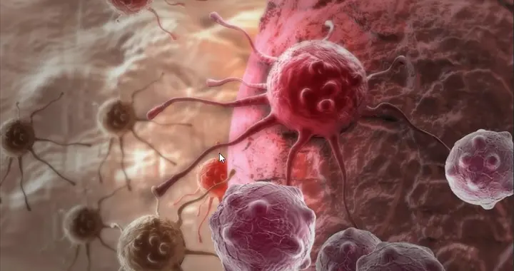 告别 “绝症” 焦虑！我国新技术破解癌症、器官衰竭难题